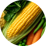 Soluble vegetable fiber - versatile digestive support ingredient