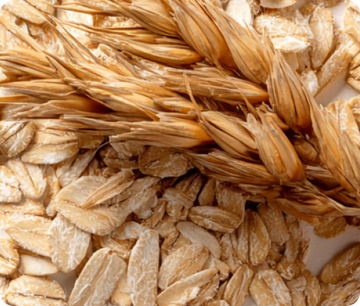 Oat Beta Glucan