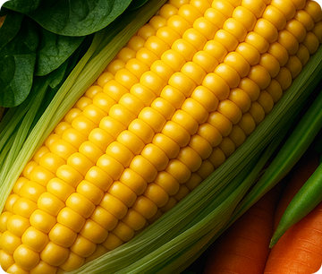 Soluble Vegetable Fiber