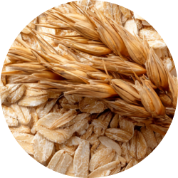 image image_text_ewfnqt