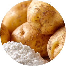 image image_text_C8QPCF