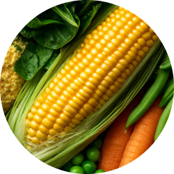 image image_text_RwiVaw