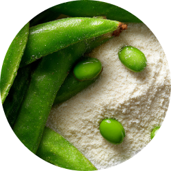 image image_text_7fLUVp